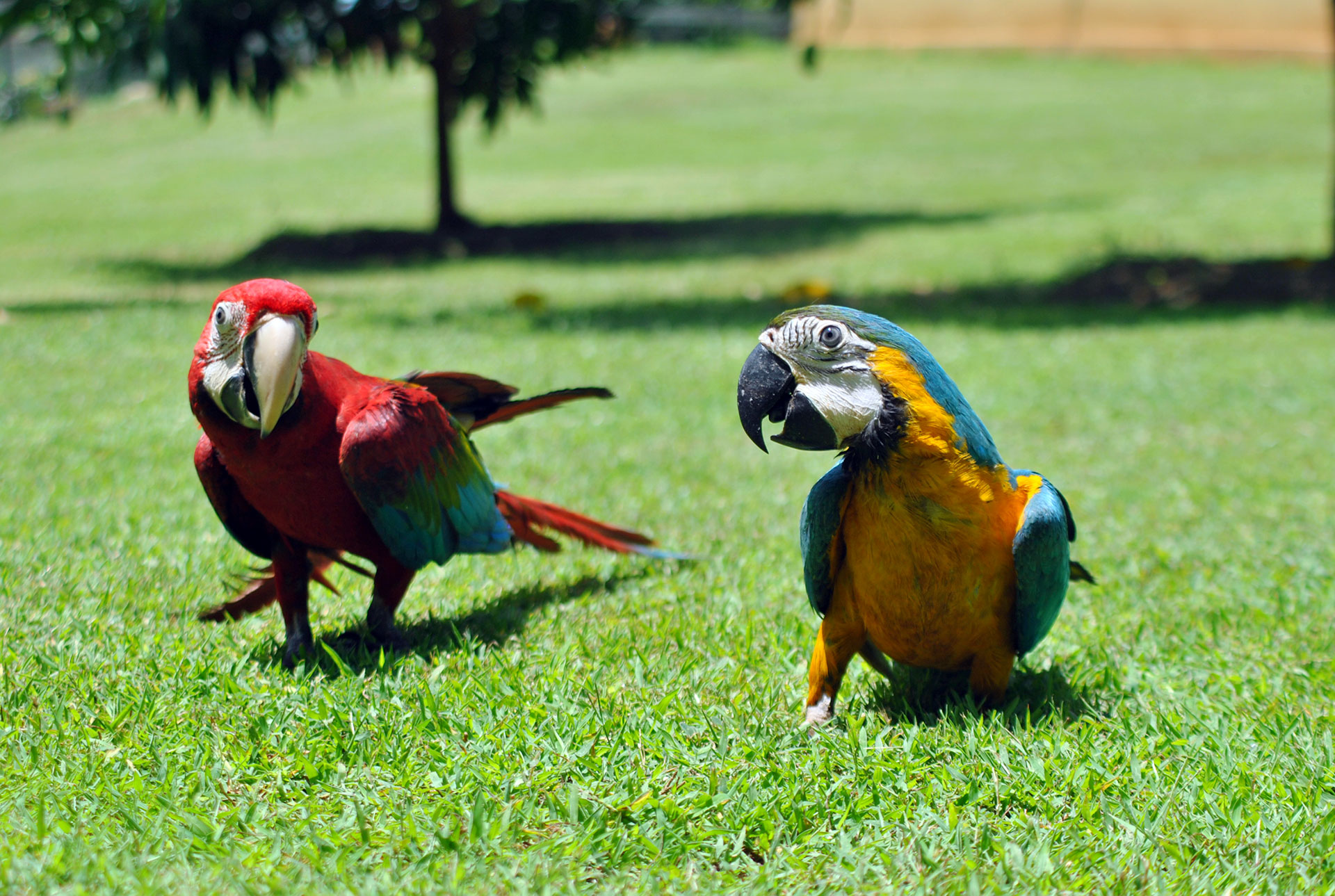 Birds Park Hambantota