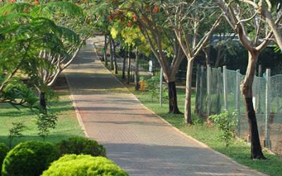 Birds-park-Roads